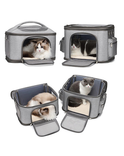 Kattenrugzak voor 2 katten (of veel kittens)